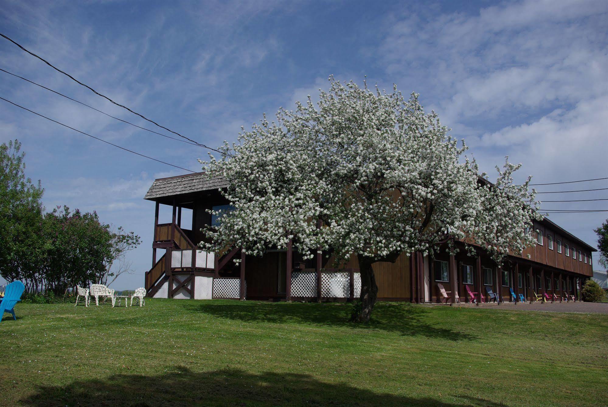 Tidal Bore Inn Τρούρο Εξωτερικό φωτογραφία